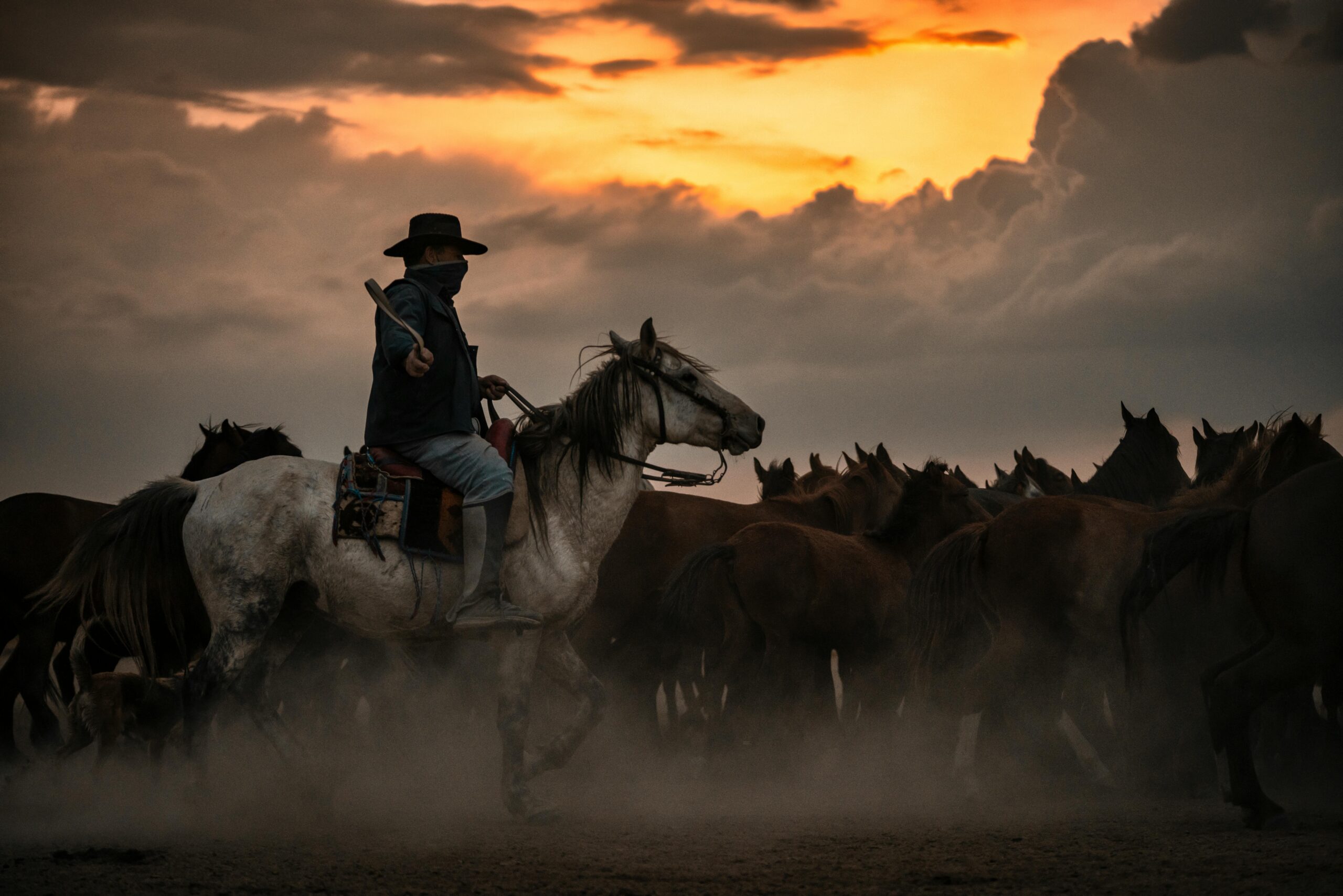A cowboy rides amidst a herd of horses with a dramatic sunrise backdrop.